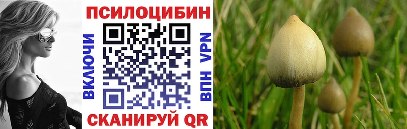 Галлюциногенные грибы прущие грибы  закладки  Полярные Зори 
